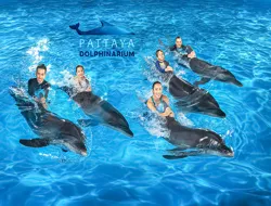 Pattaya Dolphinarium Tickets for Thai Residents